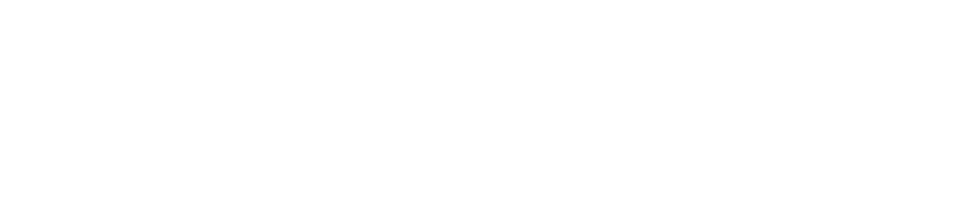 LEANOV